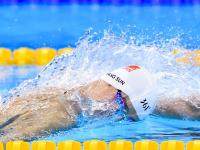 IM电竞官网入口-库里爆发，魔术单节拉开凯尔特人，一场战术与意志的较量