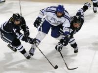 IM电竞官方入口-辽宁队碾压公牛，麦科勒姆扛起全队，一场跨越篮球文化的对话