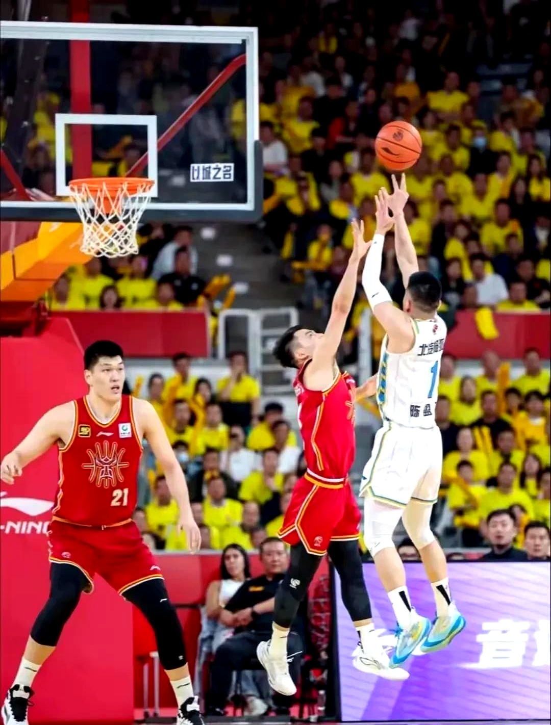 关于青海银发狼队击败辽宁,成功挤进季后赛的信息 关于青海银发狼队击败辽宁,成功挤进季后赛的信息