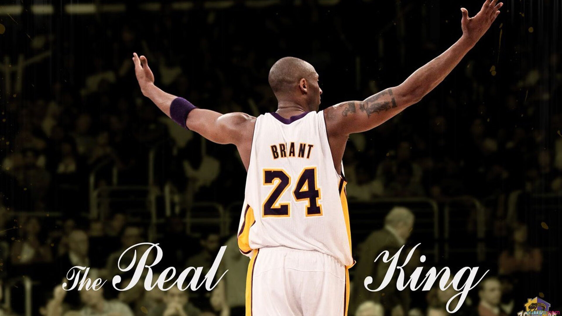 绿茵场与篮球馆的胜利法则,德甲焦点战启示录与热火队的稳字诀