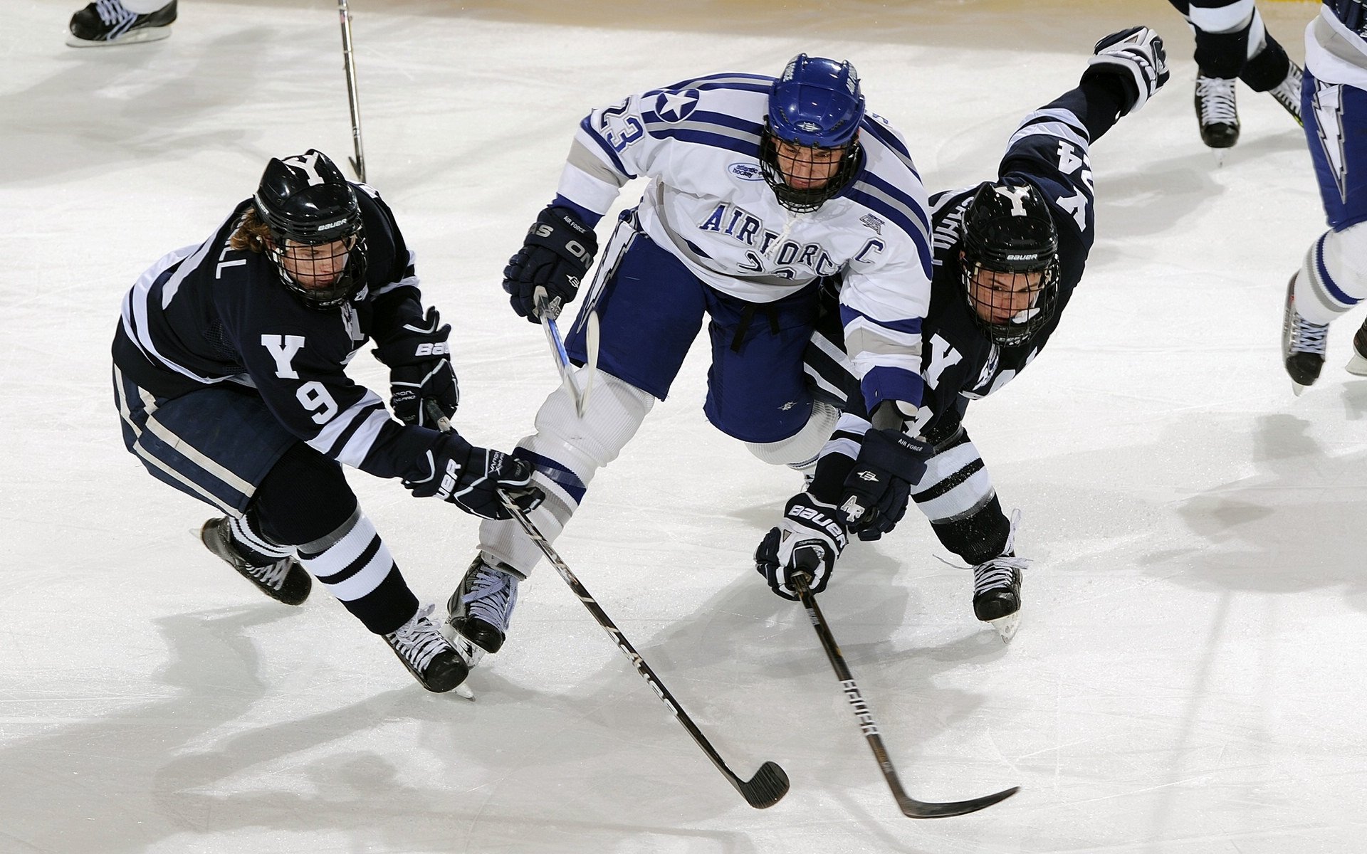辽宁队碾压公牛,麦科勒姆扛起全队,一场跨越篮球文化的对话
