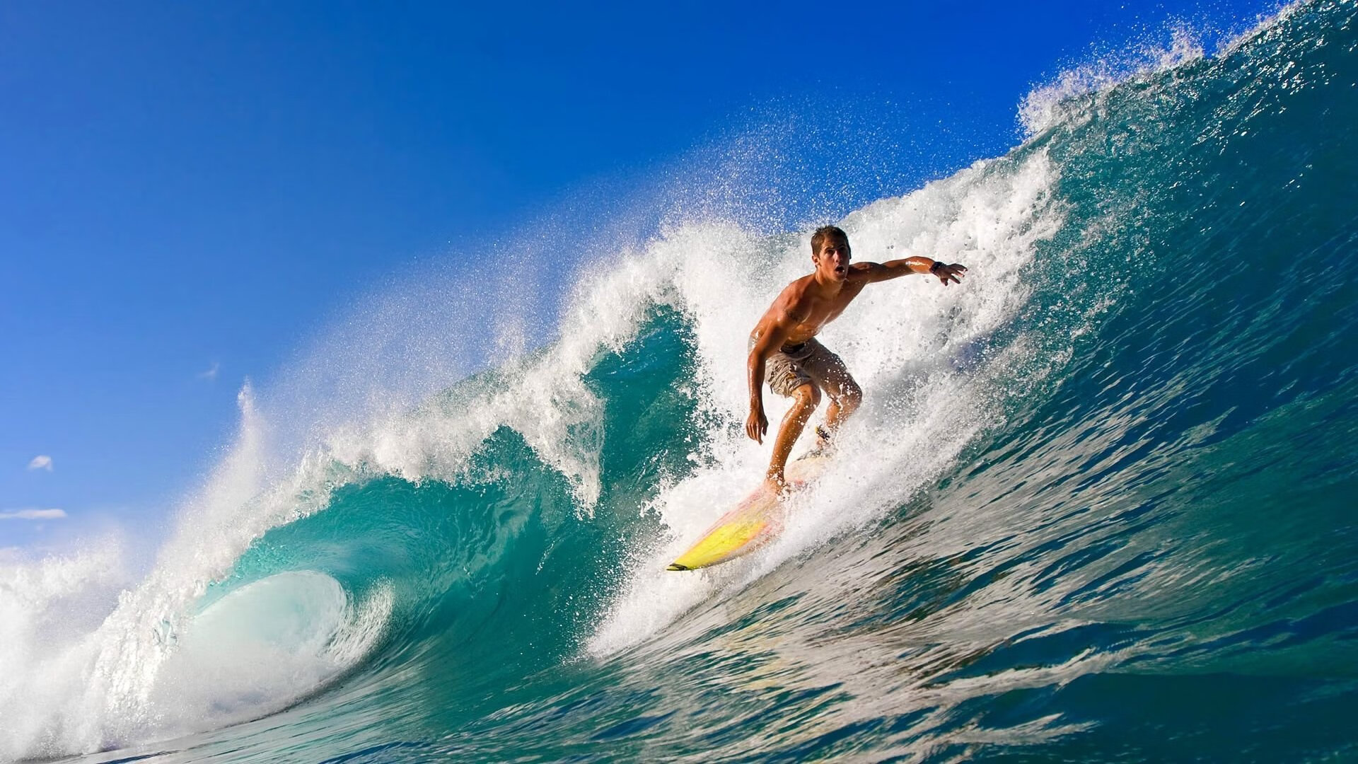 辛杜统治全场,法国队横扫韩国队—一场跨越国界的羽坛传奇